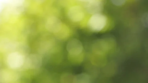 Green Bokeh (2) Video stock 29675350