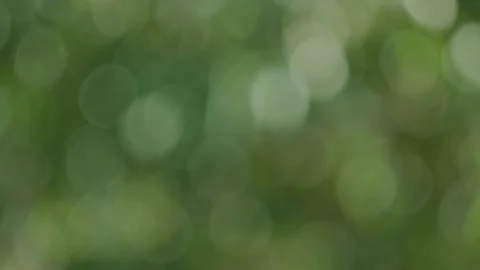 Green bokeh (2) Stock Footage 118405756