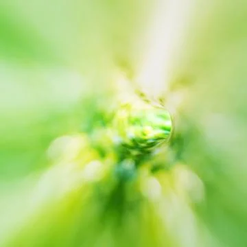 Green bokeh abstract Stock Illustration