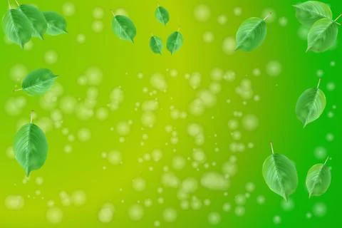 Green bokeh abstract light background. Spring sale. Stock Illustration