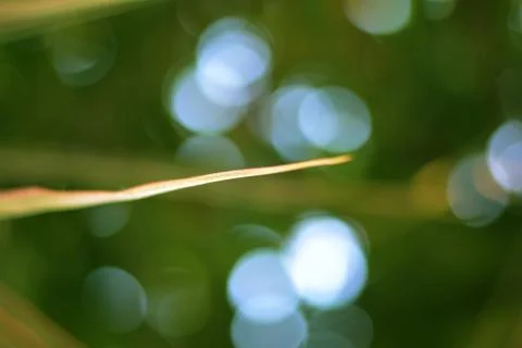 Green bokeh abstract light background Stock Photos