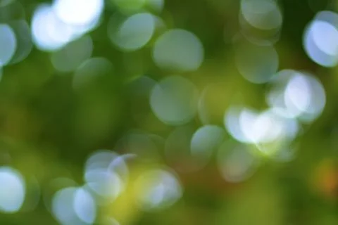 Green bokeh abstract light background Stock Photos