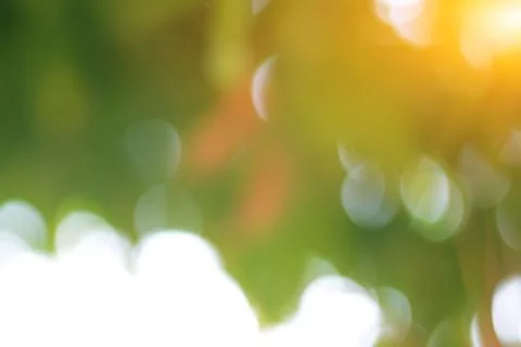 Green bokeh abstract light background Stock Photos
