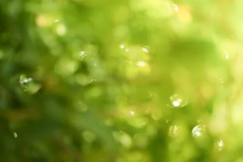 Green bokeh abstract light background Stock Photos