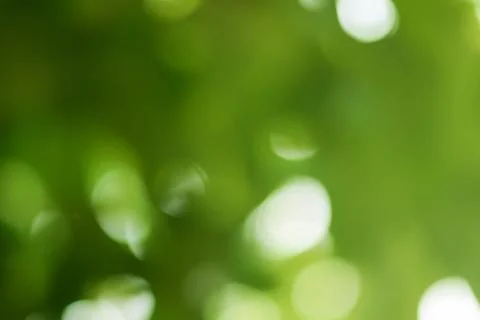 Green bokeh abstract light background Stock Photos
