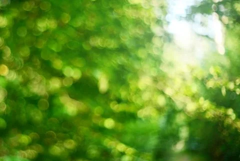 Green bokeh backgorund Stock Photos