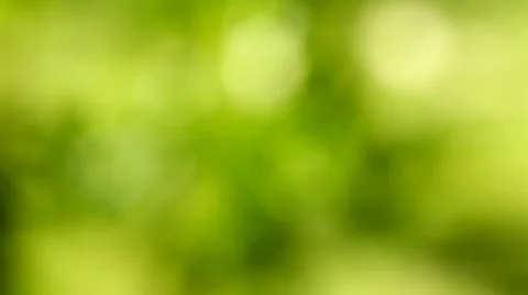 Green bokeh background Stock Footage 800524