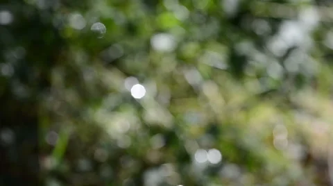 Green bokeh background Stock Footage 41297379