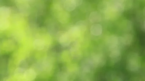 Green bokeh background Stock Footage 63265581