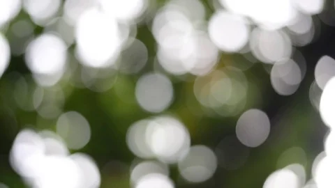 Green bokeh background Stock Footage 77596218