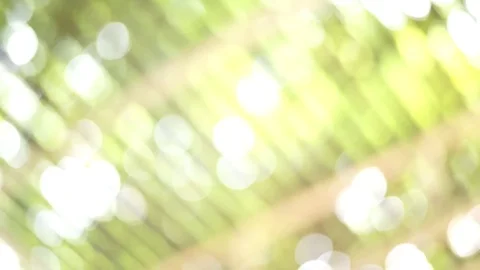 Green bokeh for a background. Stock Footage 78529758