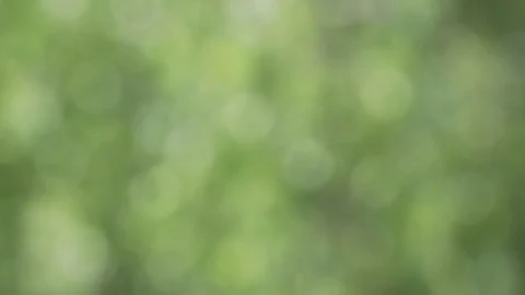 Green bokeh background Stock Footage 90710476