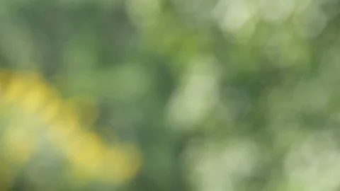 Green bokeh background Video stock 99656320