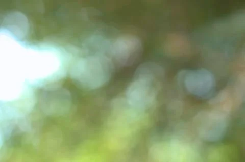 Green Bokeh for background Stock Photos