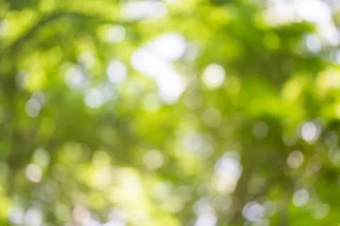 Green bokeh background Foto stock