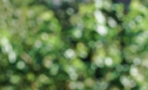 Green bokeh background Stock Photos