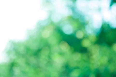 Green bokeh background Stock Photos