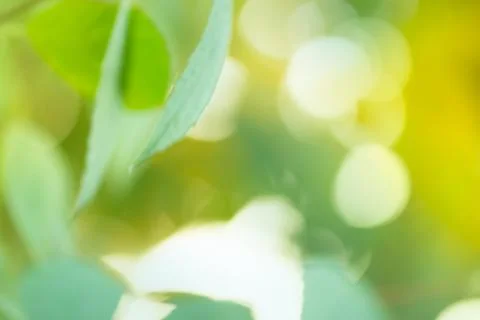 Green bokeh background Fotos Stock