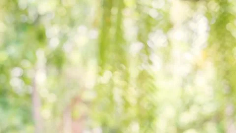 Green bokeh for a background. Stock Photos