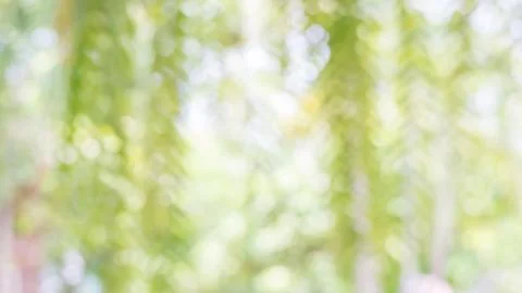 Green bokeh for a background. Stock Photos