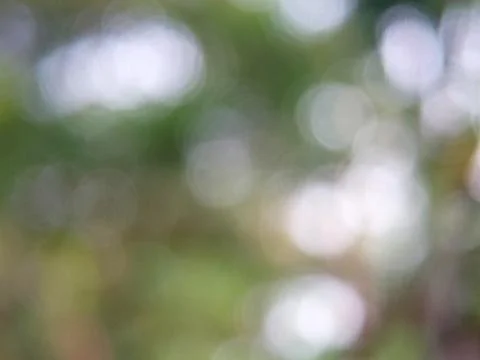 Green bokeh background Foto stock