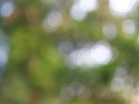 Green bokeh background Stock Photos