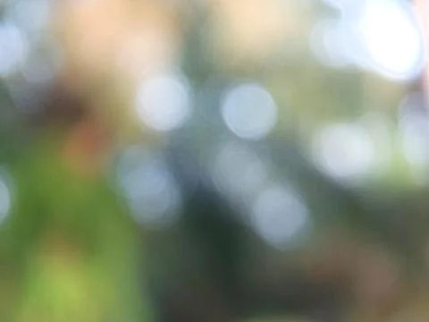 Green bokeh background Stock Photos