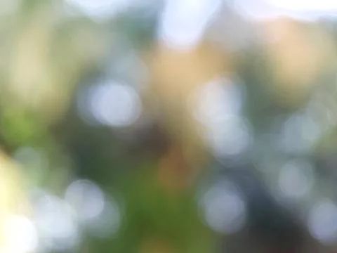 Green bokeh background Stock Photos