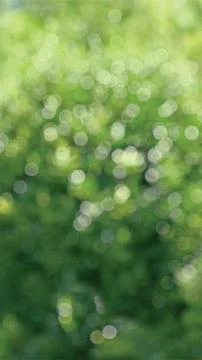 Green bokeh background Stock Photos