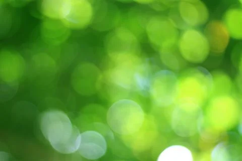 Green bokeh background from trees Stock Photos