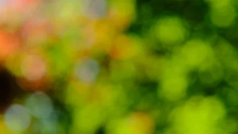Green bokeh background.Abstract background with bokeh and light Stock Footage 157997440