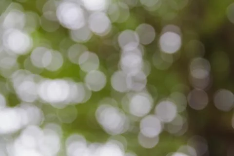 Green bokeh burry background Stock Photos