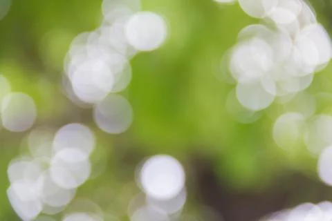 Green bokeh burry background Stock Photos