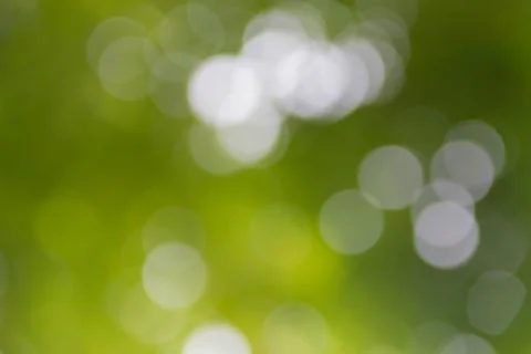 Green bokeh burry background Stock Photos