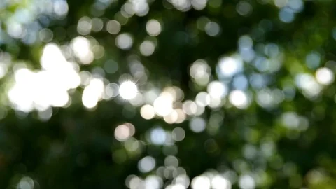 Green bokeh effect Stock Footage 80125942