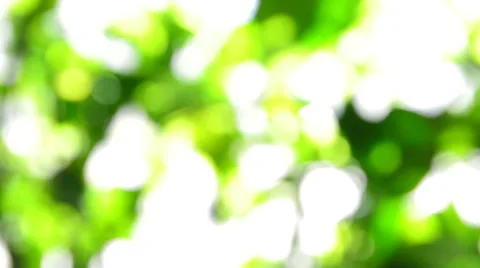 Green bokeh 動画素材 49195848