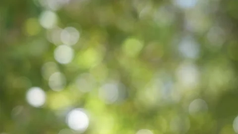 Green Bokeh Stock Footage 136171248