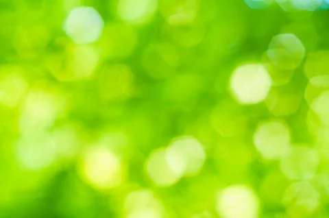 Green bokeh leafs Fotos de archivo
