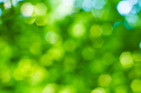 Green bokeh leafs 스톡 사진