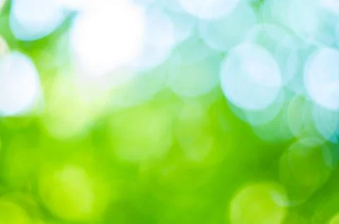 Green bokeh leafs Fotos de archivo