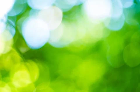 Green bokeh leafs Fotos de archivo