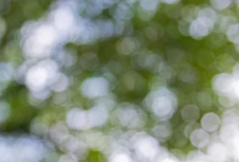 Green bokeh Foto stock