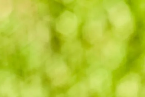 Green bokeh Stock Photos