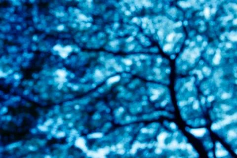 Green bokeh Stock Photos