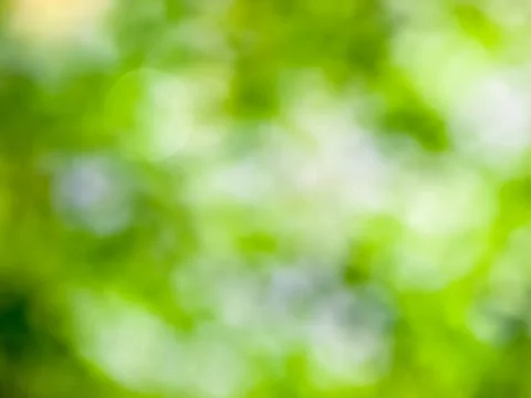 Green bokeh Fotos de archivo