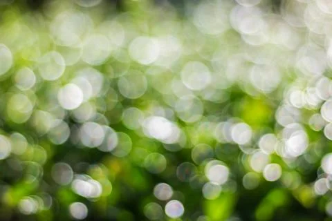 Green bokeh Stock Photos