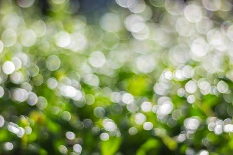 Green bokeh Stock Photos