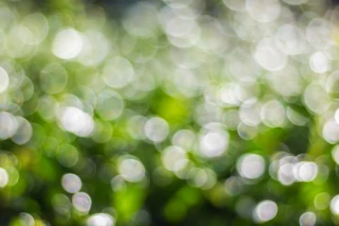 Green bokeh Stock Photos