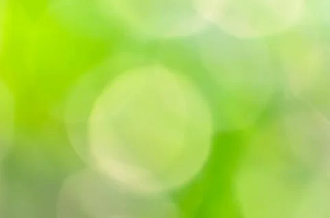 Green Bokeh From Tree Background Stock Photos