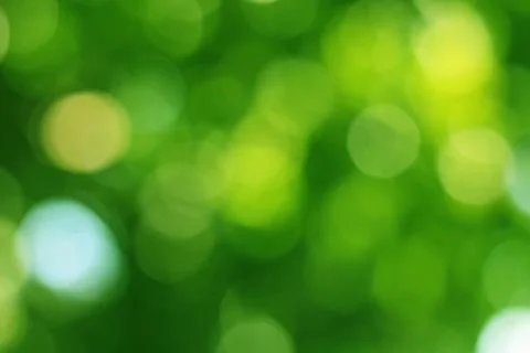 Green bokeh from tree Stock Photos